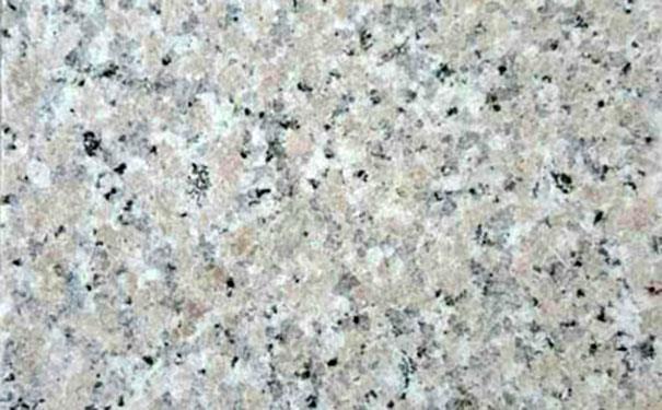 微信圖片_20220317081631 微信圖片_20220317081631